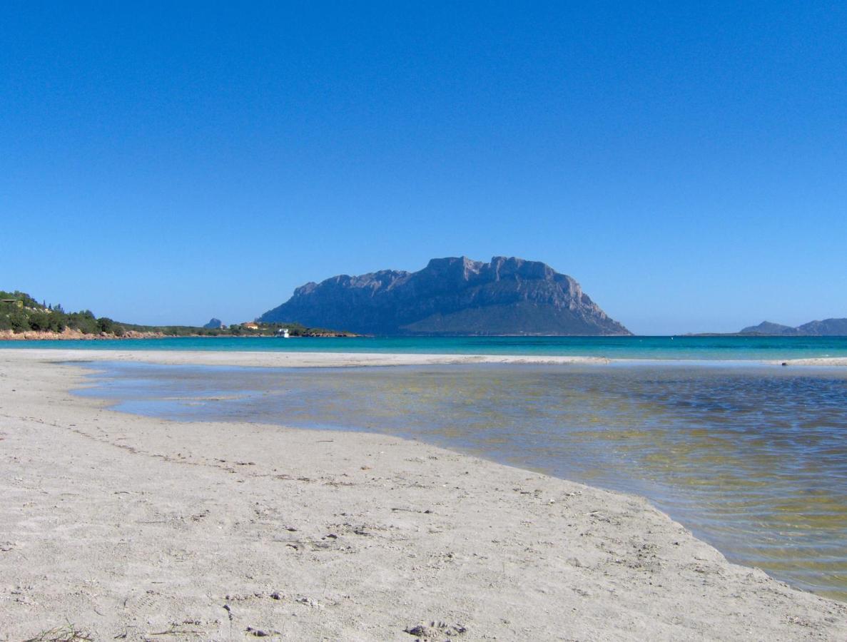 Il Mare Di Olbia Holiday Apartment Εξωτερικό φωτογραφία